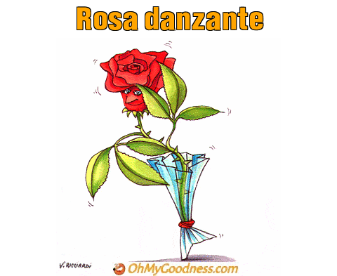 : Rosa danzante