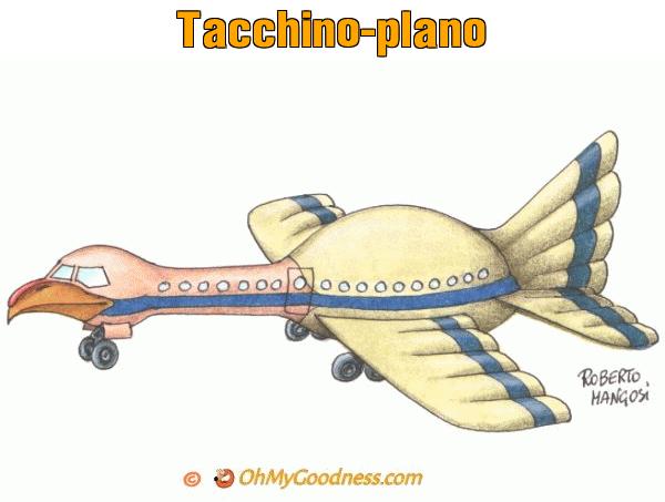 : Tacchino-plano