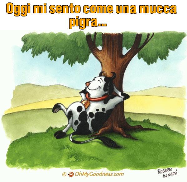 : Oggi mi sento come una mucca pigra...