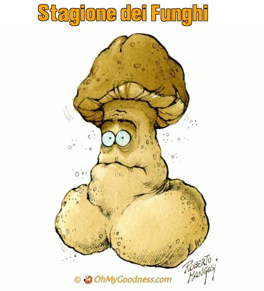 : Stagione dei Funghi