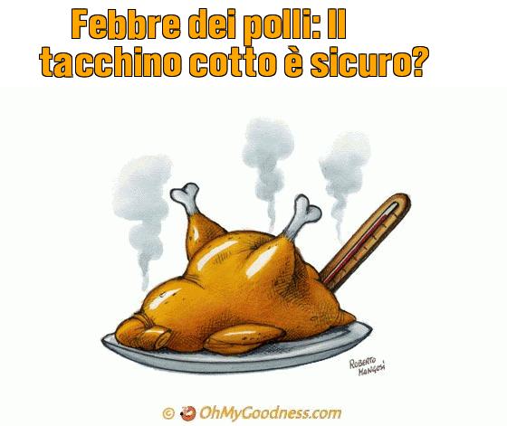 : Febbre dei polli: Il tacchino cotto  sicuro?