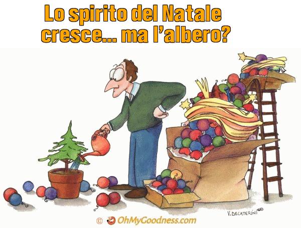 : Lo spirito del Natale cresce... ma l'albero?