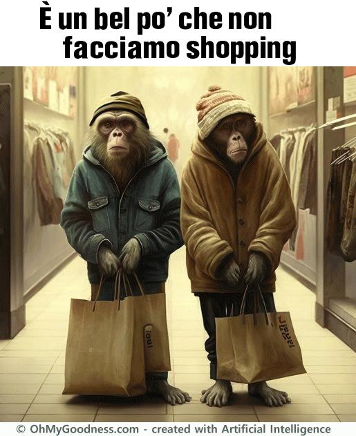 :  un bel po' che non facciamo shopping