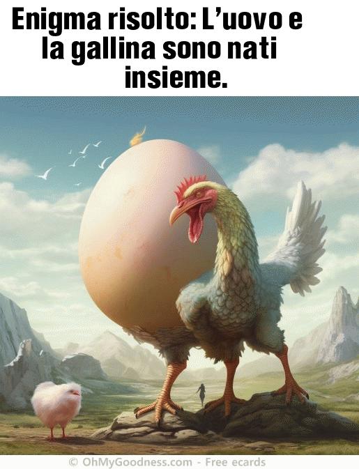 : Enigma risolto: L'uovo e la gallina sono nati insieme.