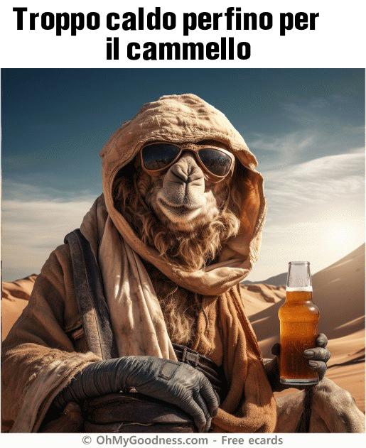 : Troppo caldo perfino per il cammello