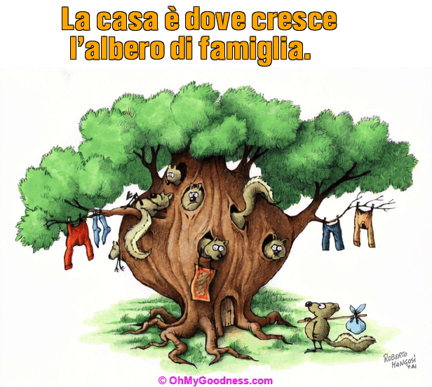 : La casa  dove cresce l'albero di famiglia.