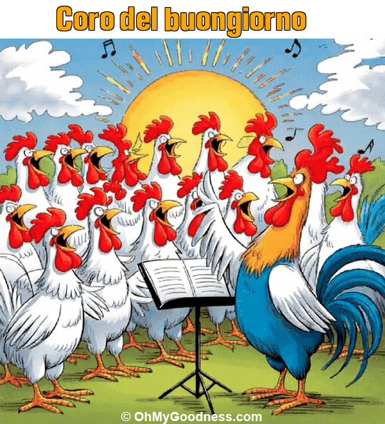 : Coro del buongiorno