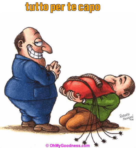 : tutto per te capo