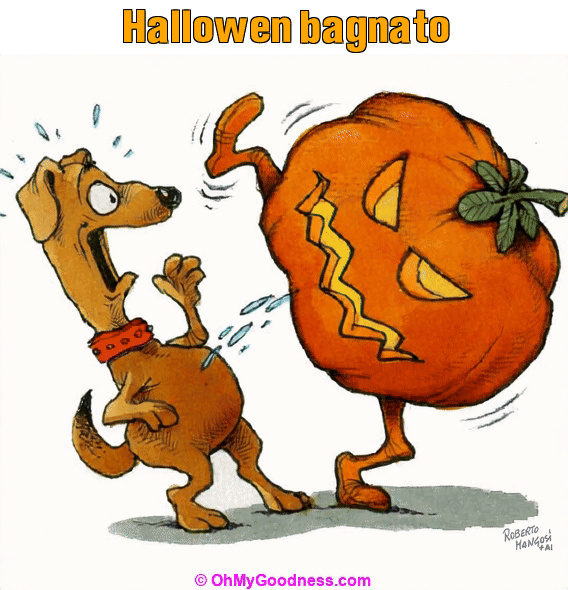 : Hallowen bagnato