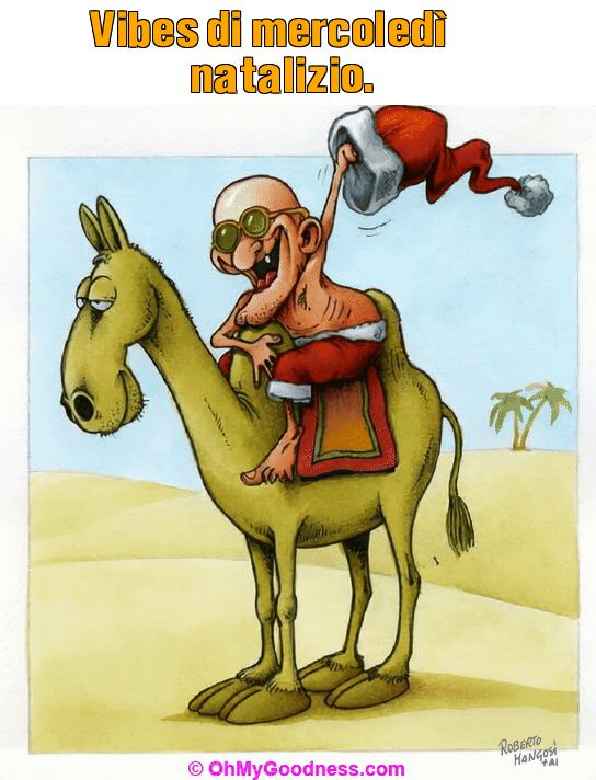 : Vibes di mercoled natalizio.