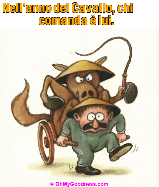 : Nell'anno del Cavallo, chi comanda � lui.