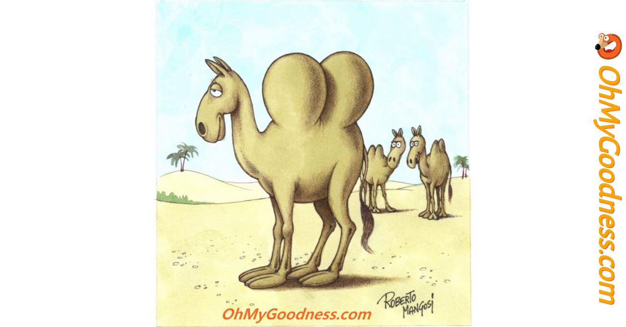 feliz dia de la joroba de silicona tarjeta virtuale | Tarjetas divertidas  animadas - gratis | OhMyGoodness tarjetas virtuales, image size:1280x670