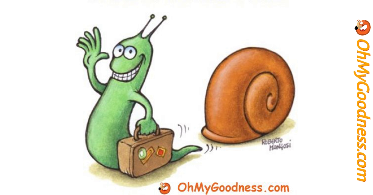 travel at snail's pace meme meme generator