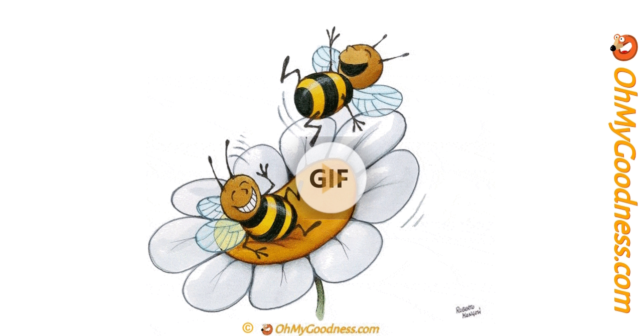 bees Memes & GIFs - Imgflip