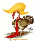 Funny ecard  - Turkey for President