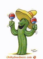 cactus danzante