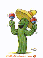 hdy dancing cactus