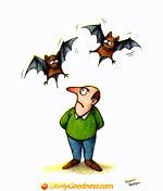 Animated Funny ecard  with music  - Annoing Bats
