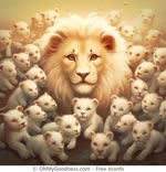 Papà sei il nostro leone.