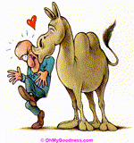 Have a lovely Hump Day